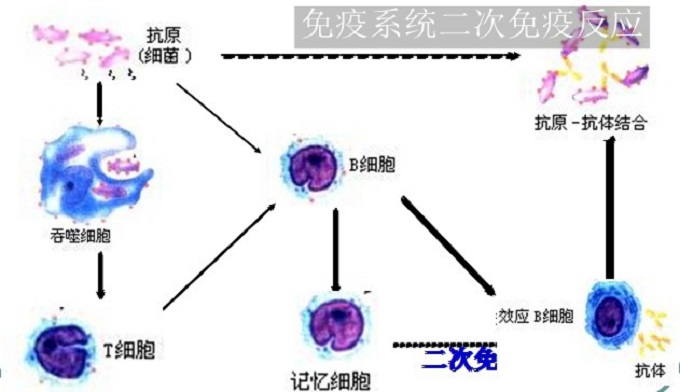 萬和熱水器珠海售后