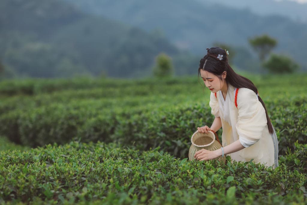 創(chuàng)維32l05hr主板型號(hào)